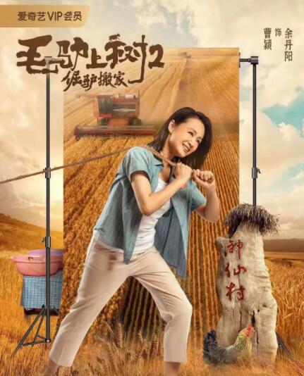 中文在线播放电影