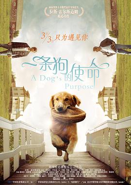 天美麻豆