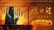 一区二区福利视频