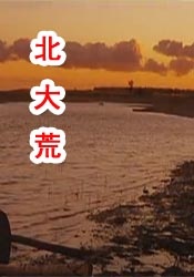 午夜视频吧