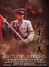 精品欧美在线观看视频