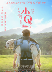 美丽的母亲在法律