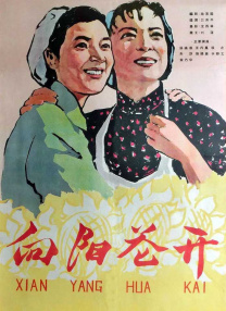 妲己户外