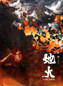 一级大片视频