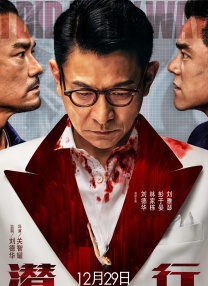 亚欧成人